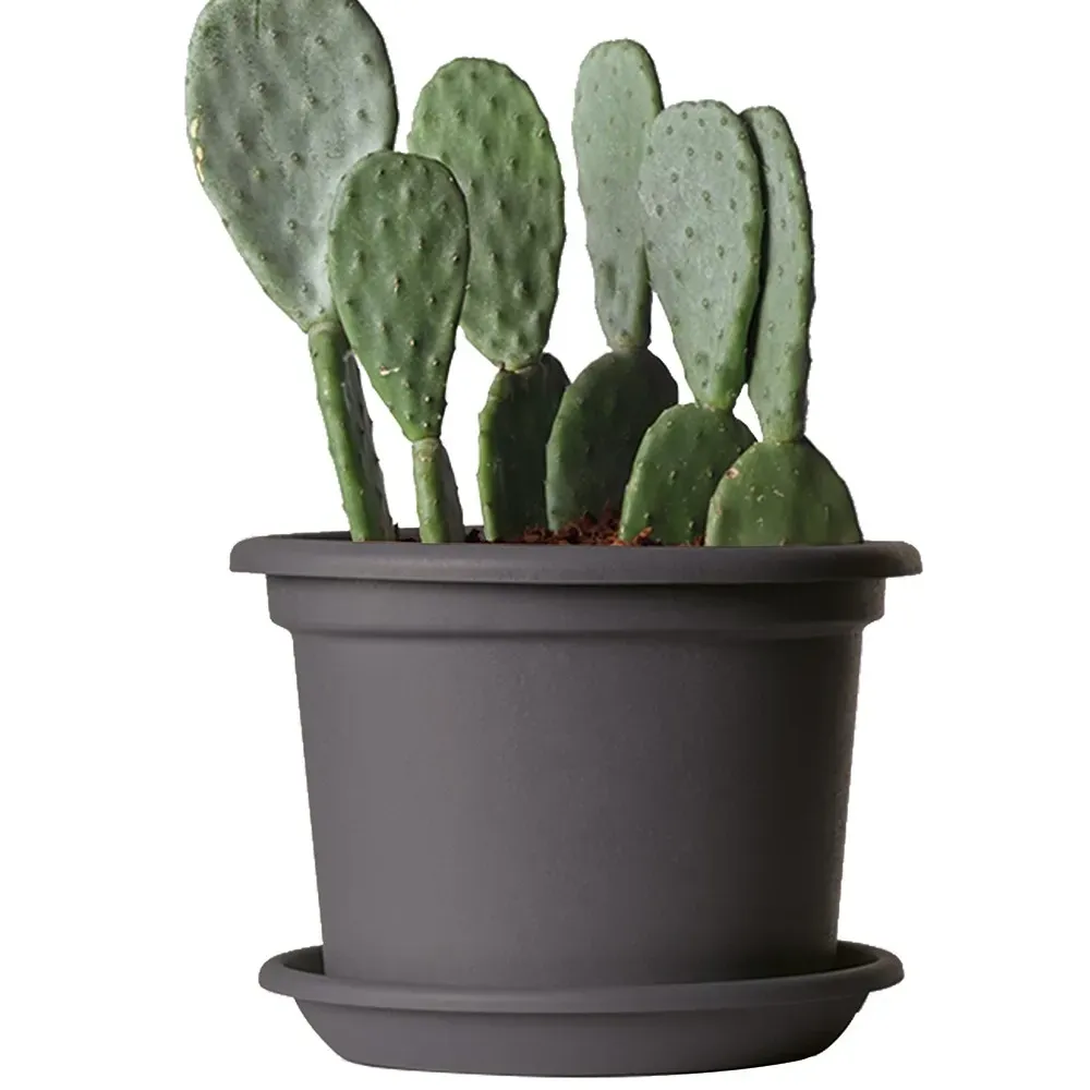 ECO GUYA Pflanzgefäß in Anthrazit