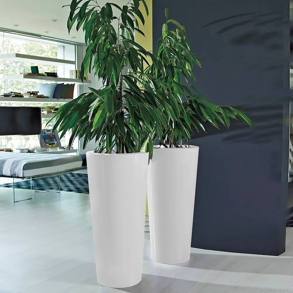 Plust Ilie Gloss Pflanzgefäß