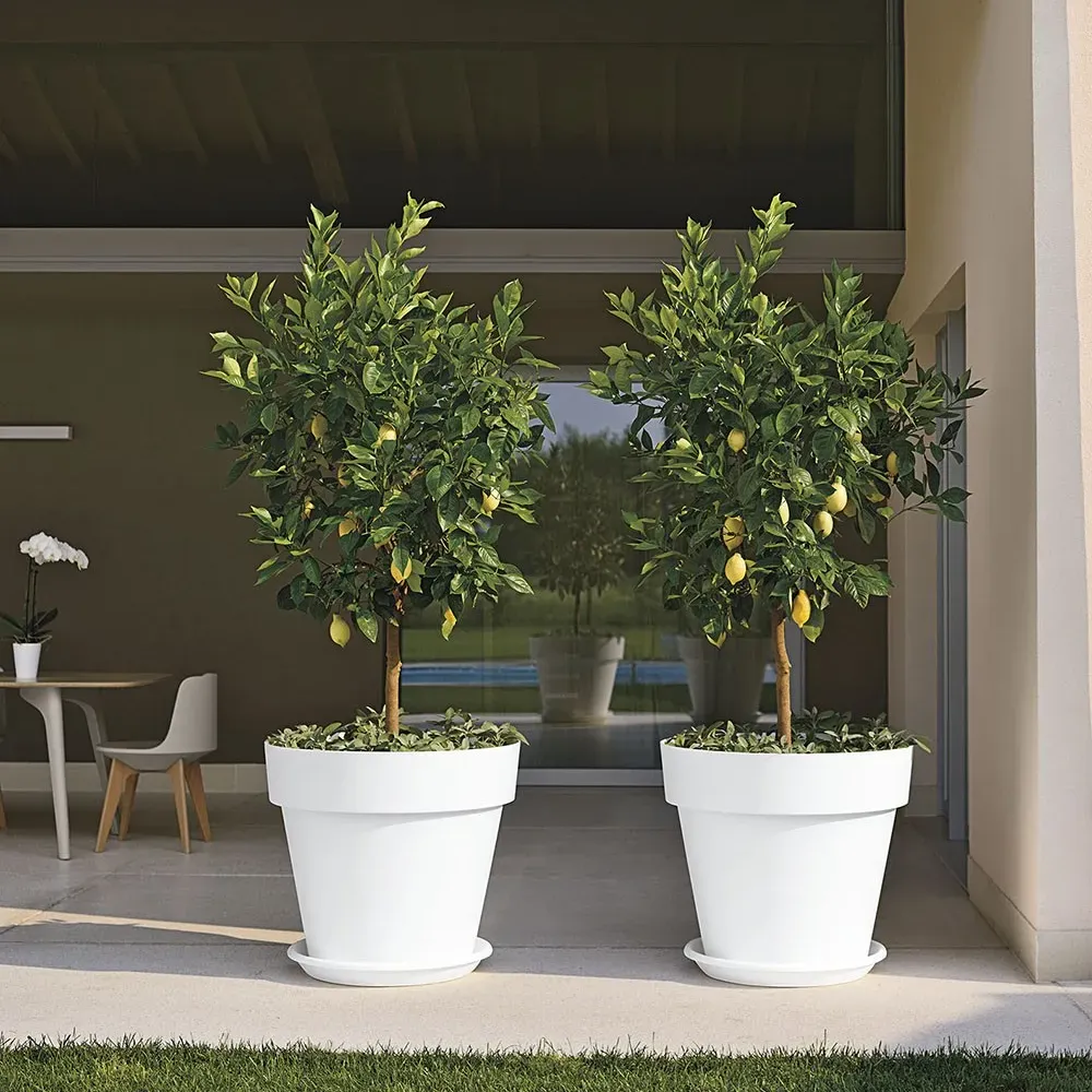 MITU PAC Pflanzentopf rund aus Polypropylen