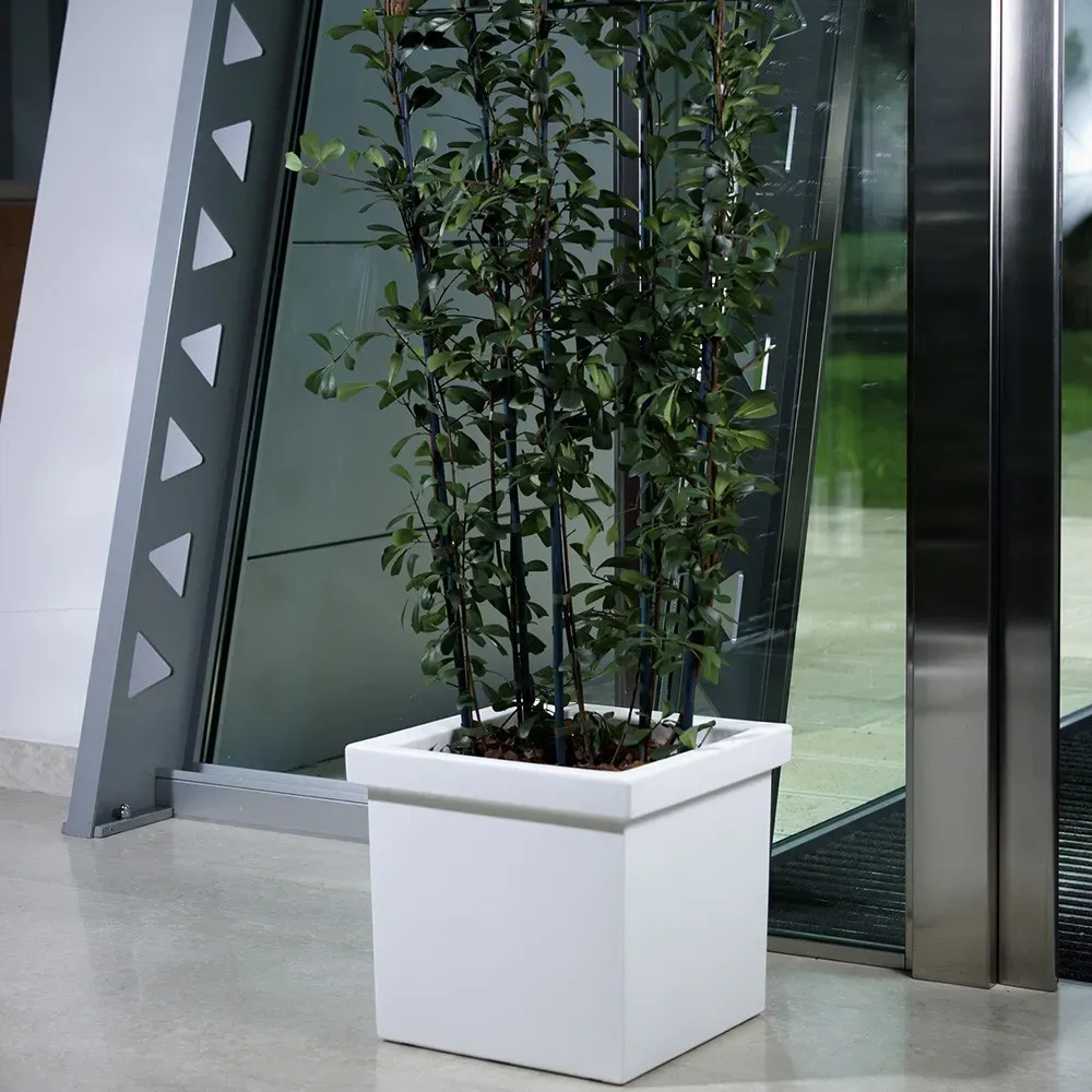 SIEPI Pflanzkasten in Weiß, vor moderner Hausfassade