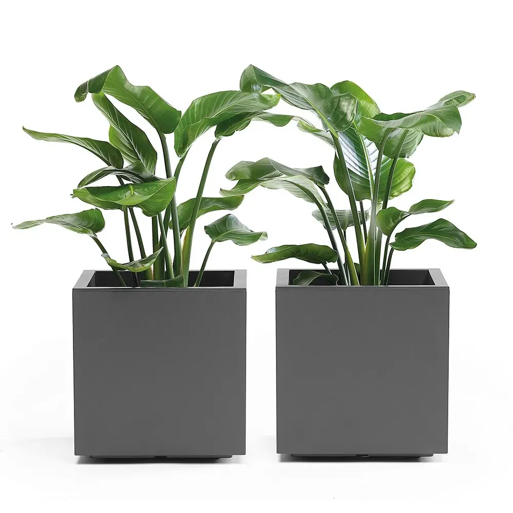 KEBE ECO Pflanzkasten mit Blühpflanzen.