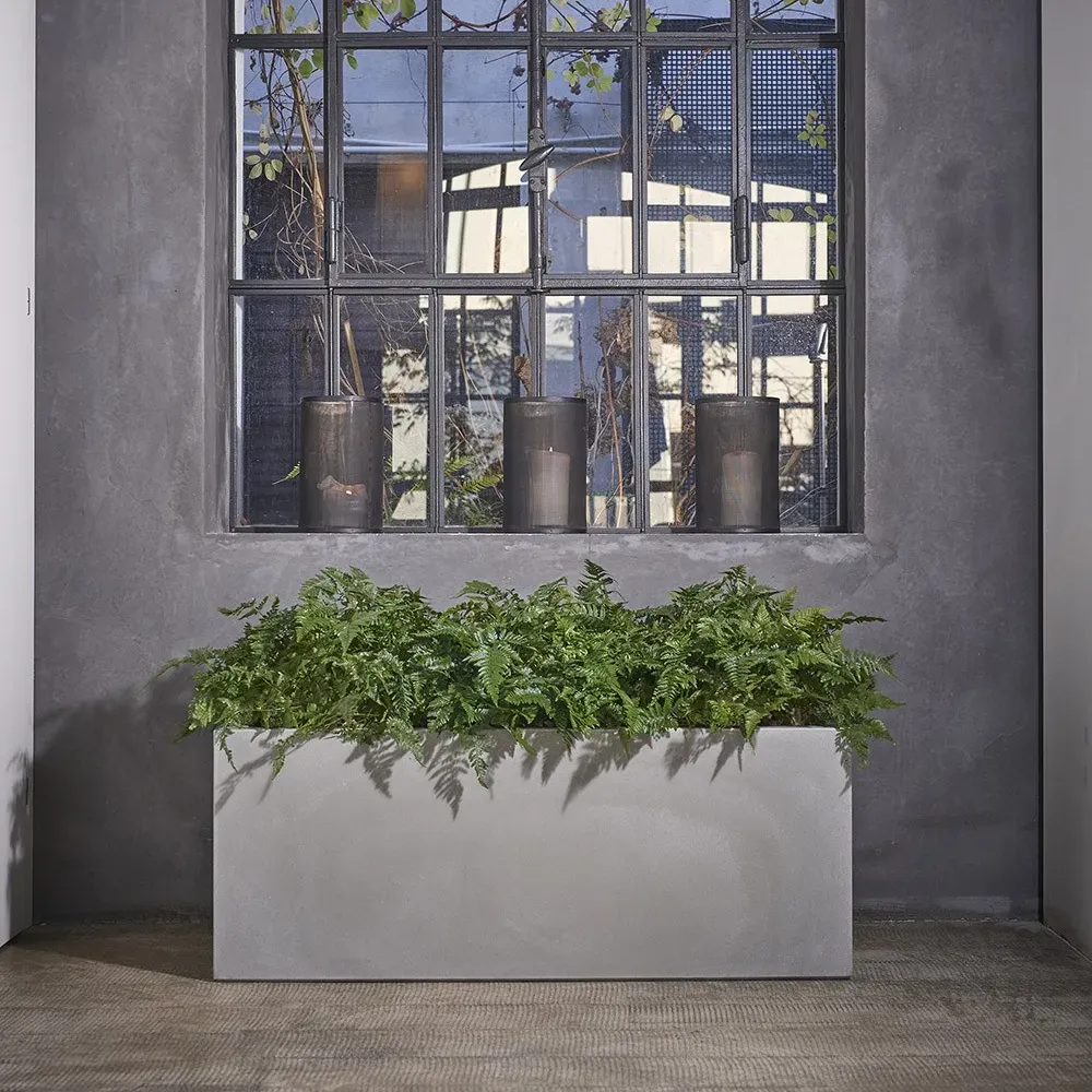KUBE Pflanzkasten in Zement im Wohnraum mit Grünpflanzen