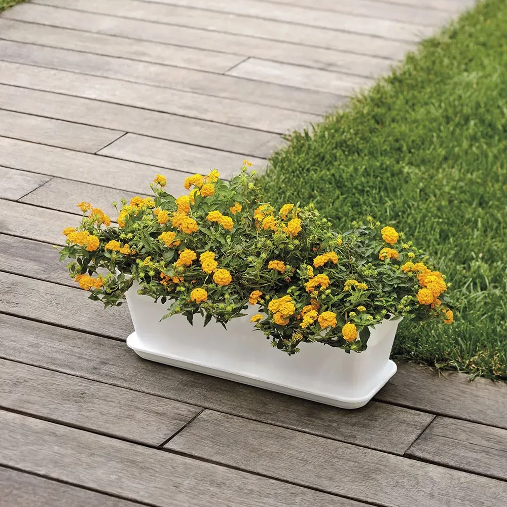 MITU PAC Blumenkasten aus Polypropylen auf Terrasse