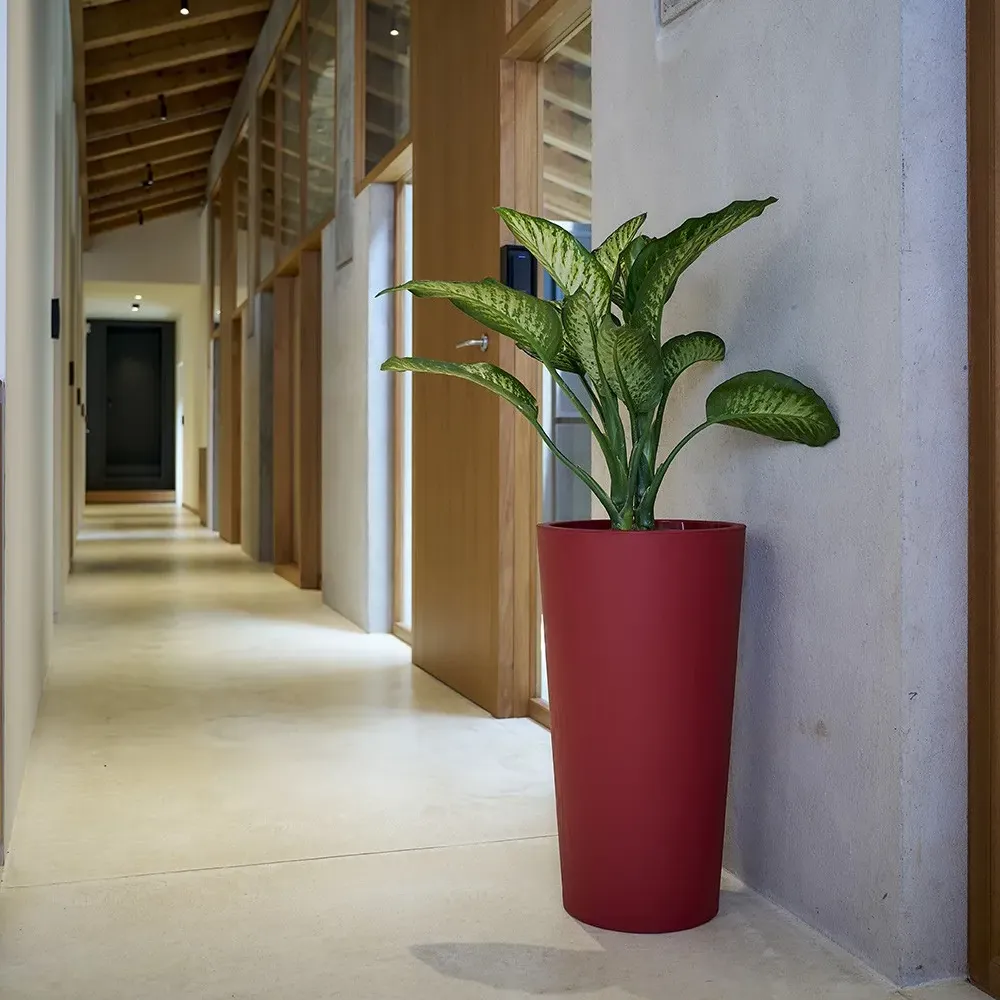 TUIT RAW Blumentopf mit dekorativer Zimmerpflanze im Loft