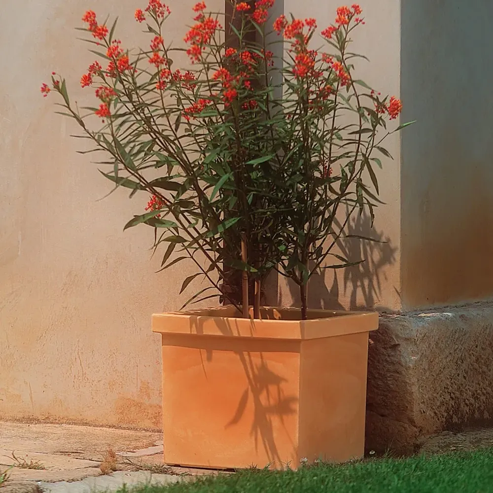 SIEPI Pflanzkasten in Terra di Siena mit Oleander auf Terrasse