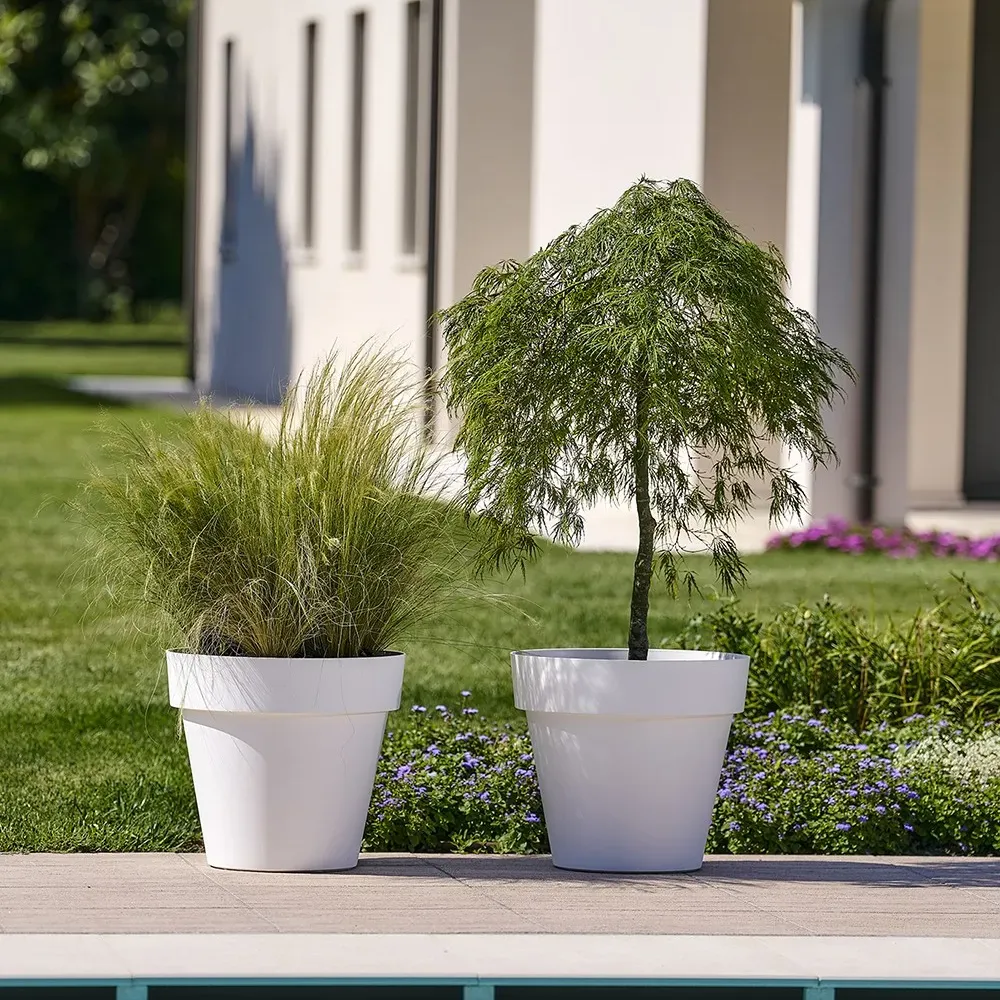 MITU PAC Pflanzgefäße mit Ziergras und Bäumchen im Außenbereich