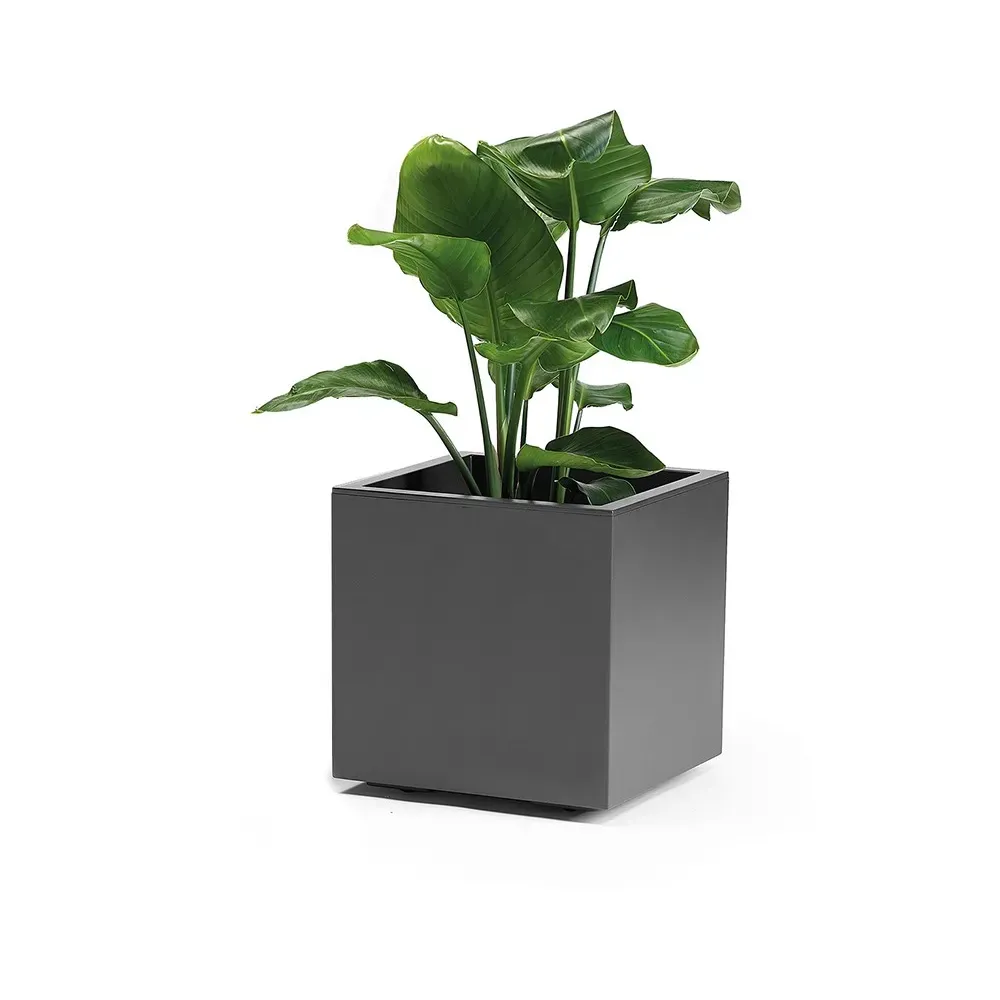 KEBE ECO Pflanzkasten in Anthrazit, mit Rollen und Grünpflanze.